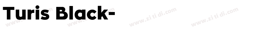 Turis Black字体转换